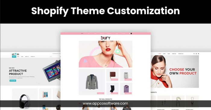 Best Shopify Theme Customization Services in India | Appco Software