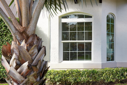 Florida Window Replacement Experts You Can Trust