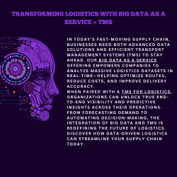 Big Data as a Service in Logistics