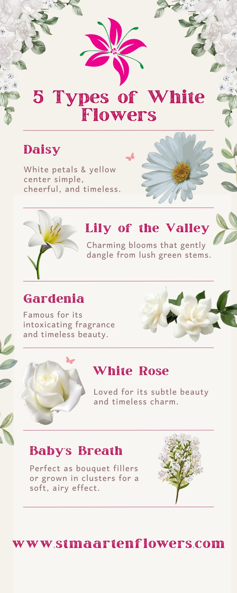 5 Types of White Flowers