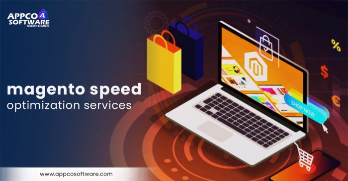 Best Magento Speed Optimization Services | Appco Software