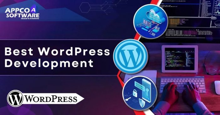 Best WordPress Development Company for Your Website