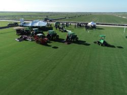 Zoysia Grass Florida – Premium Turf by Star Turf Farms