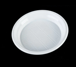 The Rise of Plastic Plates in Modern Food Service