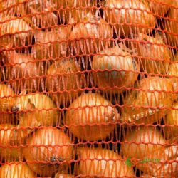 Roll stock labeled mesh bag,raschel bags on rolls onion potato bag, for packing produce