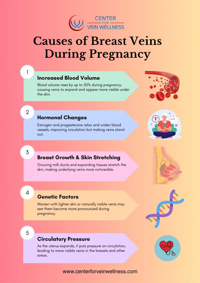 Understanding Your Body: Why Veins Become More Visible During Pregnancy
