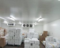 Cold Room Solutions