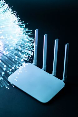 Resilient Connectivity for Modern Businesses: Why Choosing the Right Internet Partner Matters