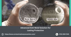 Advanced Anti-Mold Solution for Lasting Protection