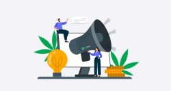 How Cannabis Brands Can Use SEO to Stay Ahead in a Competitive Market