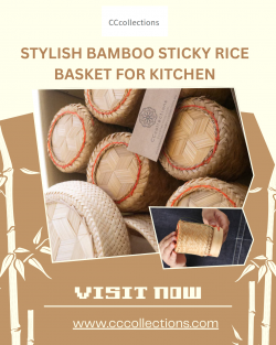 Unique Bamboo Sticky Rice Basket Designs