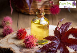 Castor Oil: Nature’s Multi-Purpose Elixir by Grape Tree