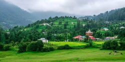 Taxi From Delhi to Chandigarh