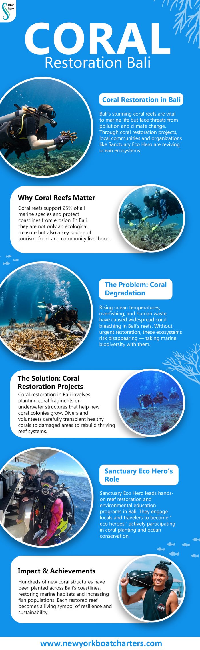 Coral restoration bali