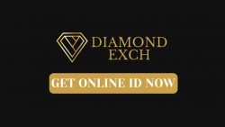 How to Create and Use Your Diamondexch99 Login ID Safely in 2025