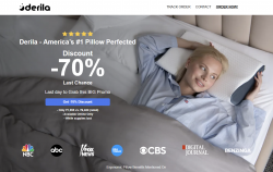 Derila Ergo Neck Pillow