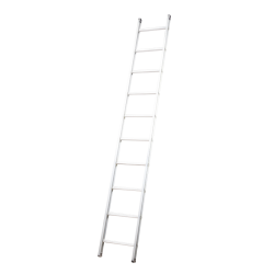 The Evolving Single Ladder