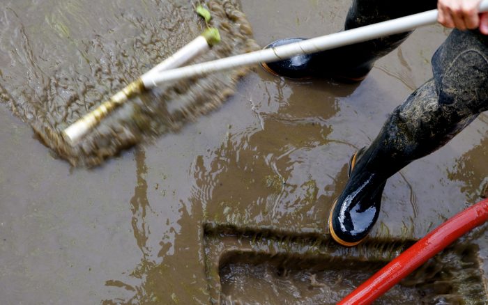 How Long Does a Typical Sewage Cleanup Take?