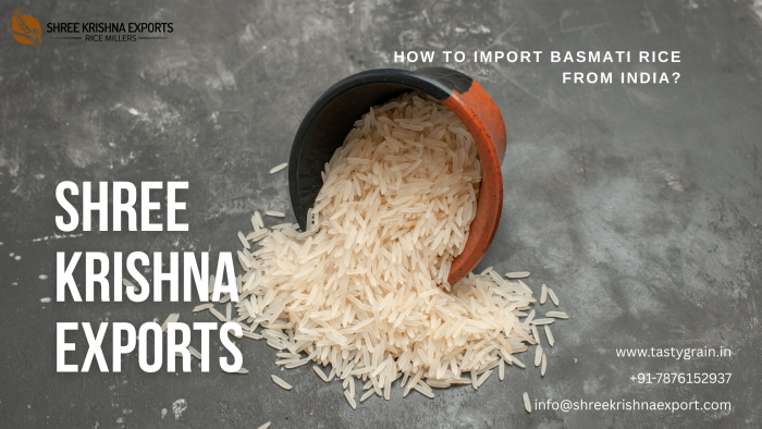A Complete Guide to Sourcing Premium Basmati Rice from India