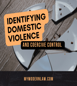 Lawyer for Domestic Violence