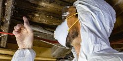 Expert Mold Remediation in Staten Island, NY
