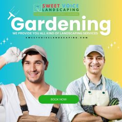 garden and landscaping companies in abu dhabi