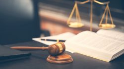 Expertise in Action: How the UK’s Top Immigration Solicitors Solve the Most Complex Problems