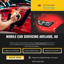 Mobile car servicing