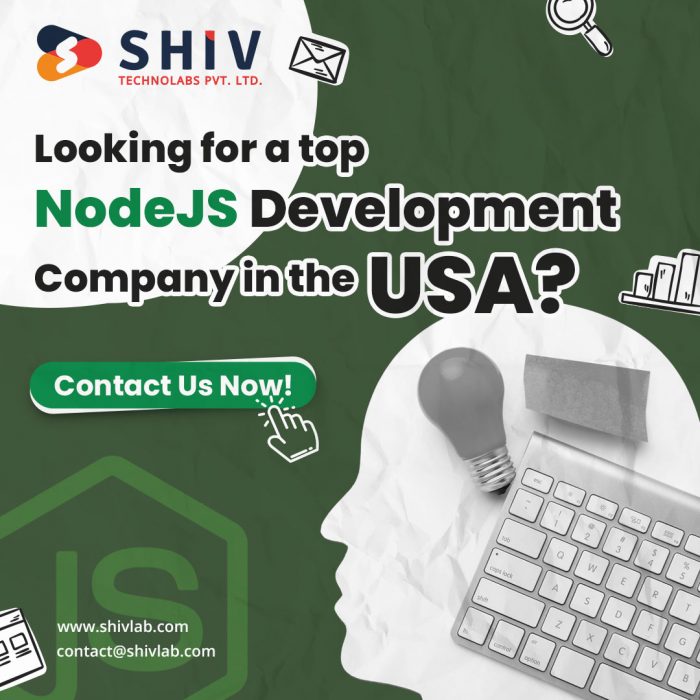 Smart NodeJS Development Services in USA by Shiv Technolabs