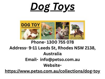 Shop Durable & Fun Dog Toys Online – Petso