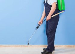 Reliable Pest Control Sydney Services for Homes & Businesses