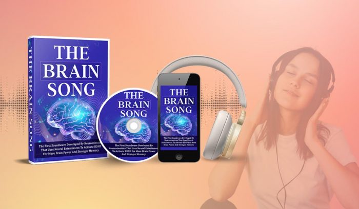 https://www.facebook.com/TryTheBrainSong/