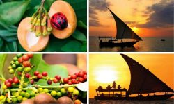 From Spice Farms to Sunset Cruises: Unique Things to Do in Zanziba