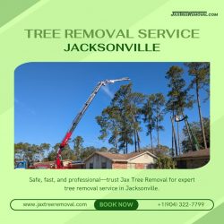 Tree Removal Service Jacksonville
