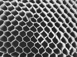 Transform Projects with Aluminum Honeycomb Core