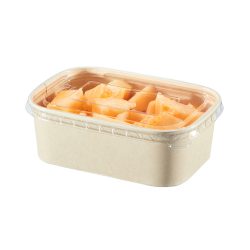Clear Hinged Lid Container: Visibility and Convenience