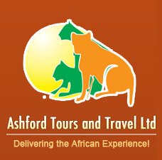 African Wildlife Safari Packages – Explore Nature’s Peacefully