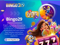 Bingo29