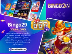 Bingo29 Download