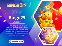 Bingo29 Login