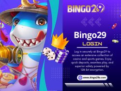 Bingo29 Login Online