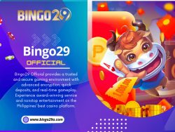 Bingo29 Official