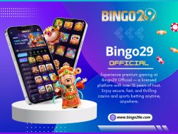 Bingo29 Official Online