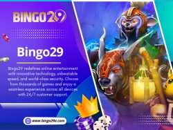 Bingo29 Online