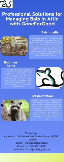 Professional Solutions for Managing Bats in Attic with GoneForGood