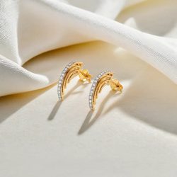 Shop Stylish Hoop Earrings for Women Online in India