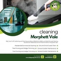 cleaning Morphett Vale