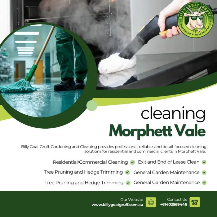 cleaning Morphett Vale