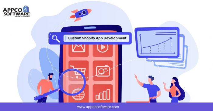 Hire the Best Shopify Custom App Development Company