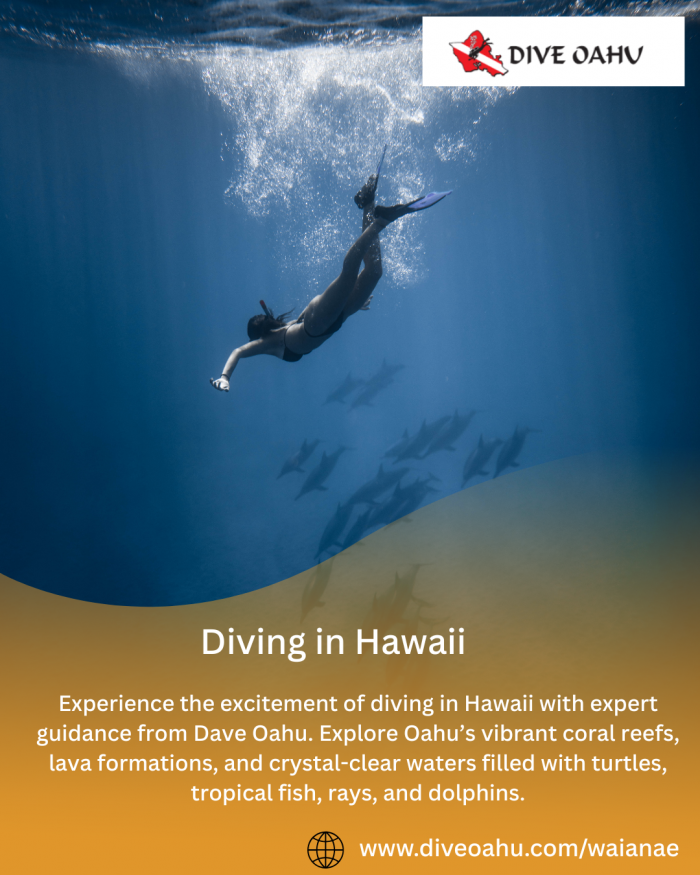 Diving in Hawaii Explore Stunning Underwater Adventures with Dave Oahu